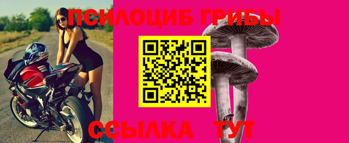 Киреевск  Псилоцибиновые грибы MAGIC MUSHROOMS  дарнет шоп  Вход с VPN 